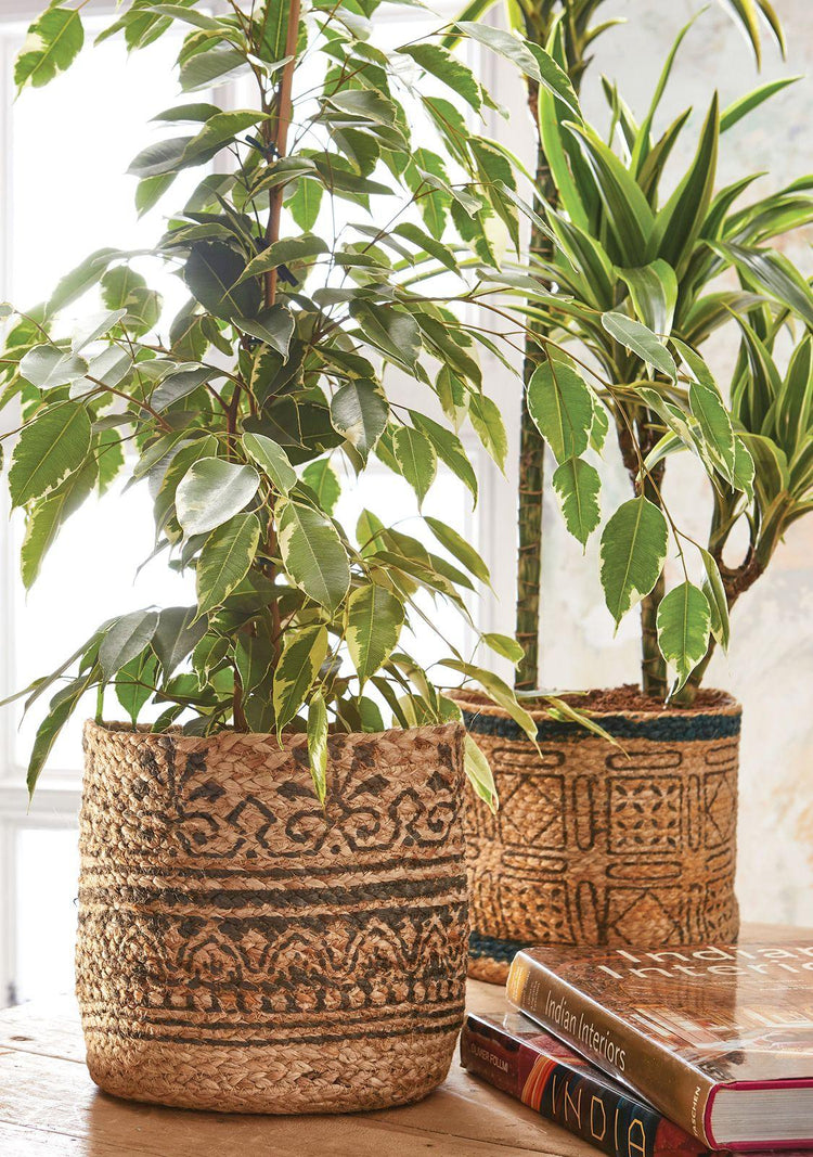Planters - Ethimaart
