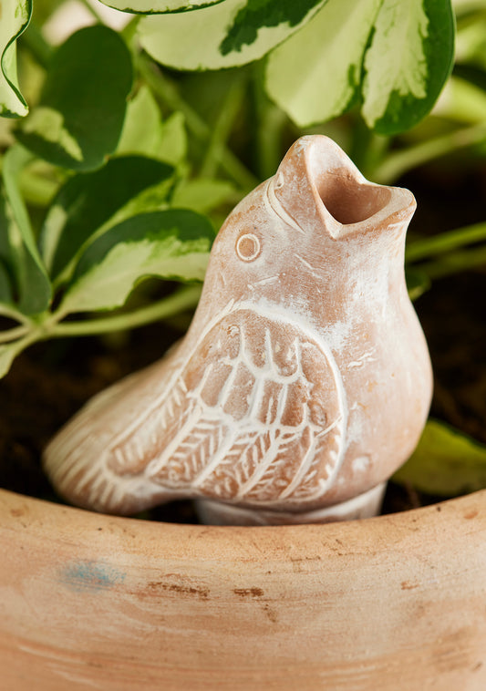 Enhance your plant care routine with our sustainable terracotta bird plant water spike. Perfect for housewarming gifts and garden decor, this handcrafted accessory ensures optimal plant health while minimizing water wastage. Made with care by artisans in Bangladesh, it's an eco-friendly choice for any plant lover's home.