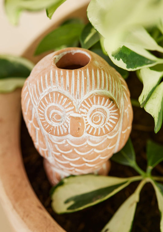 Elevate your plant care with our charming Sustainable Terracotta Owl Plant Water Spike. Crafted by artisans, this self-watering stake ensures optimal plant health while adding a touch of whimsy to your garden. Perfect for housewarming gifts or self-care, it's a thoughtful addition to any green space. Explore now!