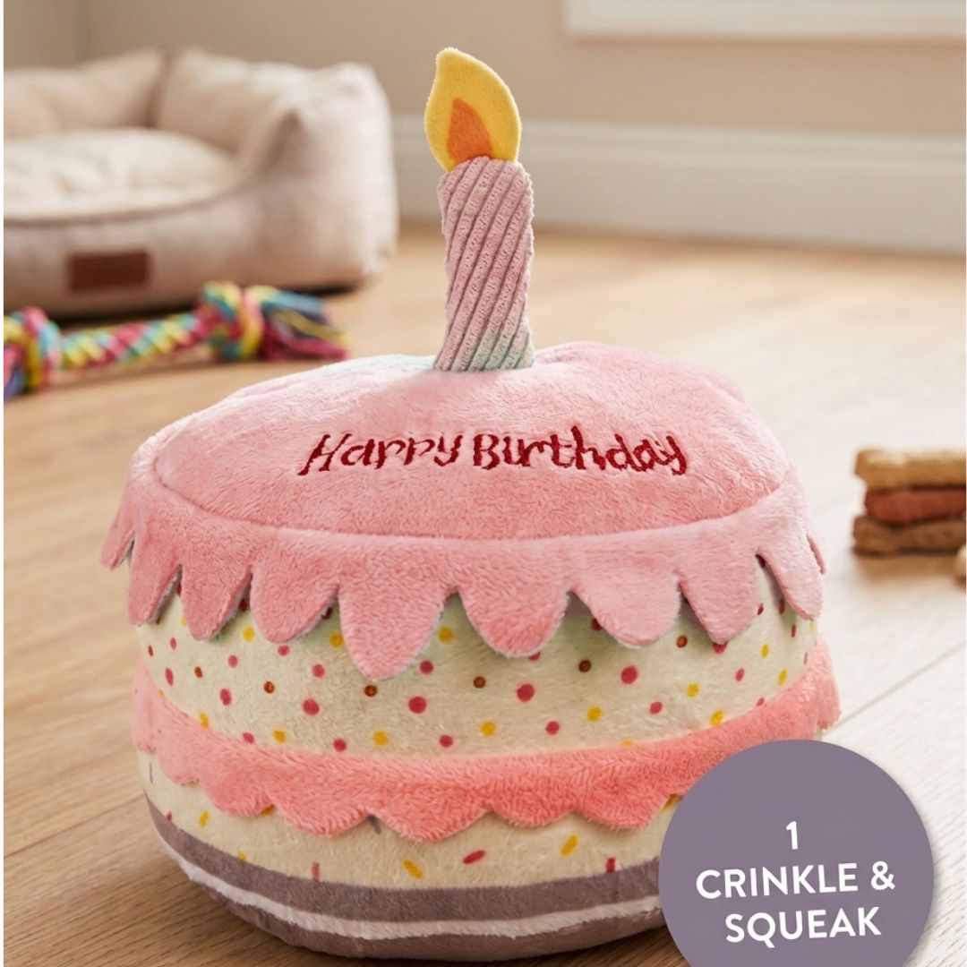 Dog Birthday Cake Plush Toy – Squeaky & Crinkle Sensory Gift