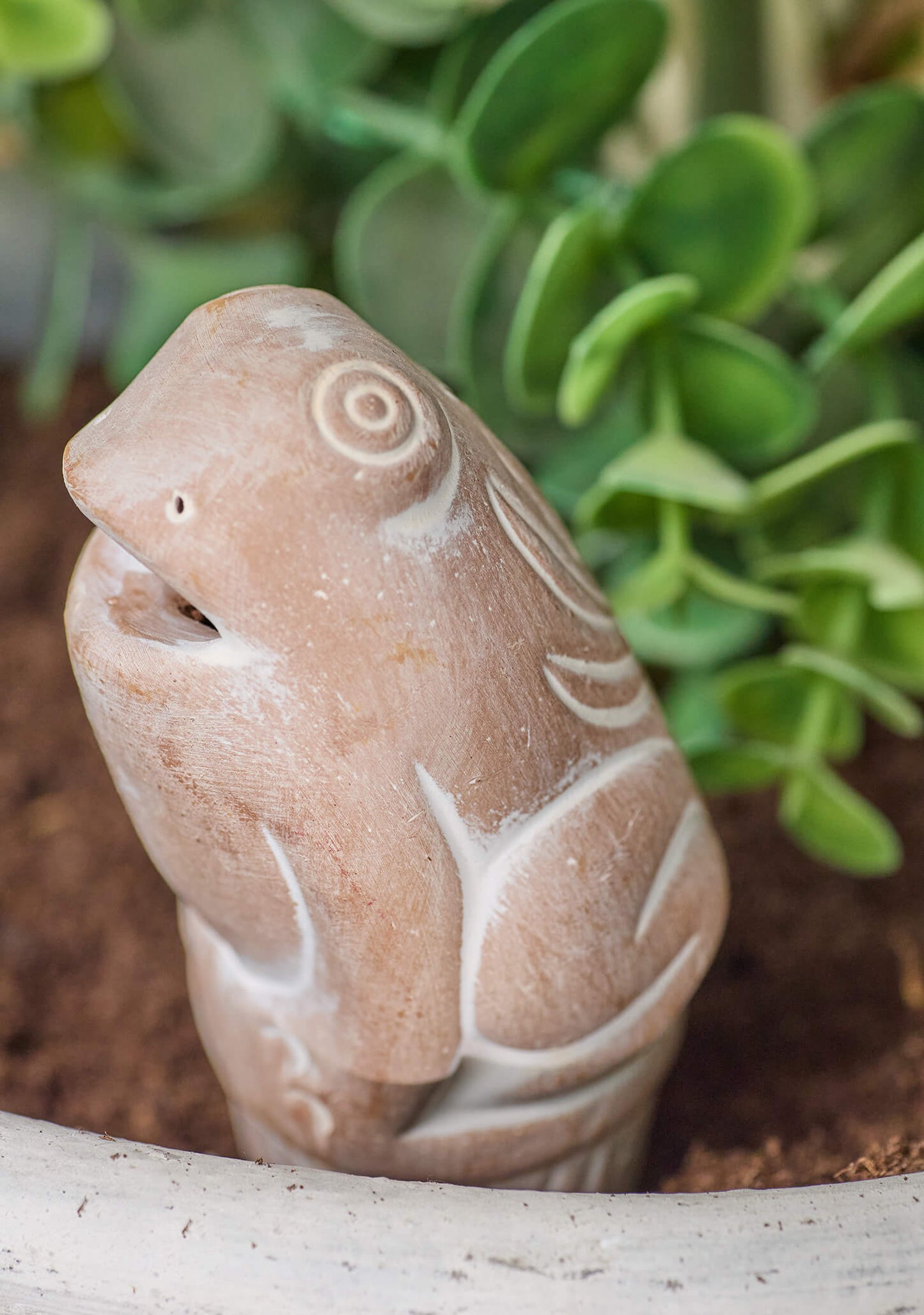 Sustainable Terracotta Frog Plant Water Spike in plant