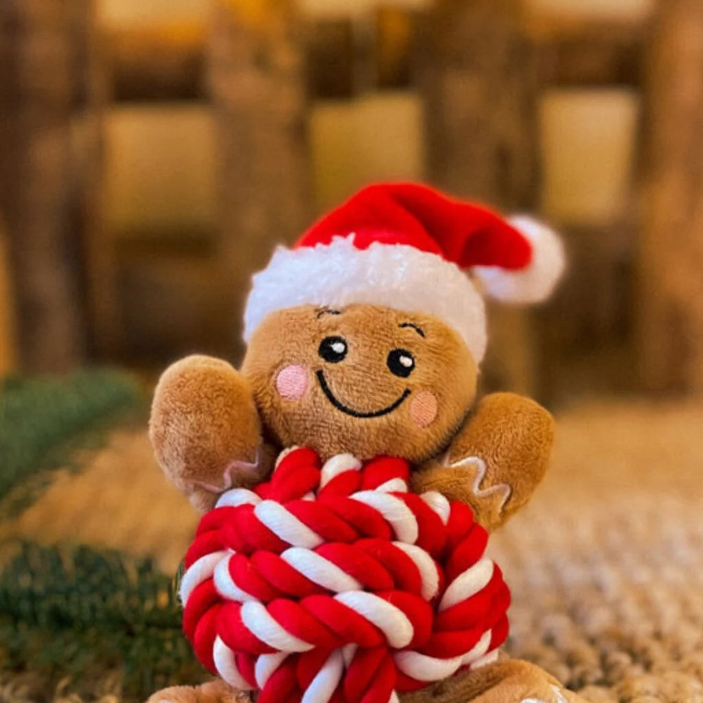 Gingerbread Man - Rope Plush Dog Toy