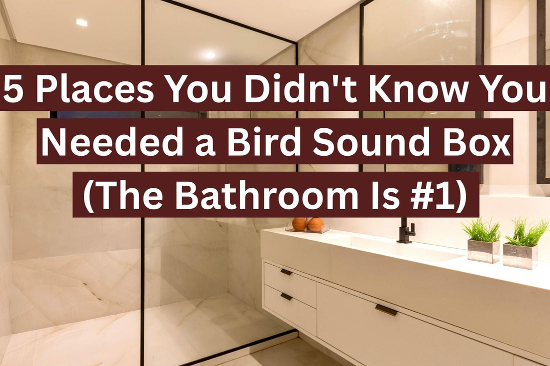 5 Places You Didn't Know You Needed a Bird Sound Box (The Bathroom Is #1)