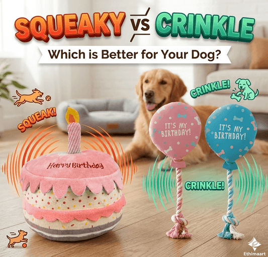 Squeaky vs Crinkle Dog Toys comparison featuring Ethimaart Birthday Cake and Birthday Balloon plush toys with a Golden Retriever in the background.