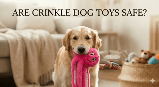 Are Crinkle Dog Toys Safe? Safety & Buying Guide