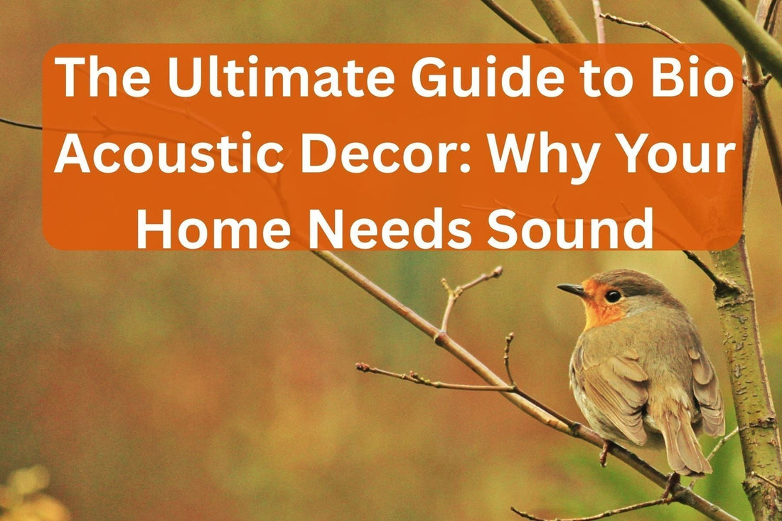 The Ultimate Guide to Bio Acoustic Decor: Why Your Home Needs Sound