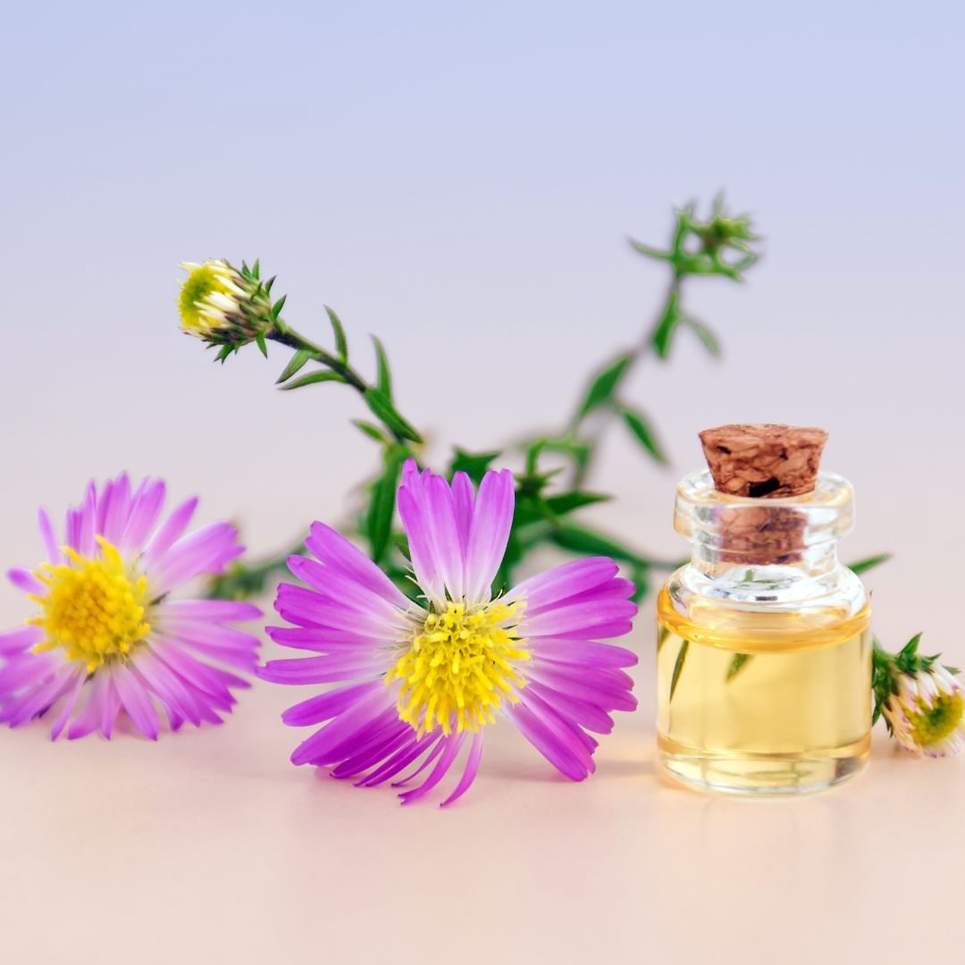 aromatherapy essential oil bohemian incense stick and fragrance