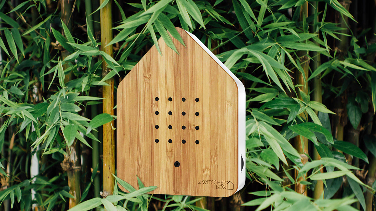 Zwitscherbox - Bamboo Wood Bird Song Box