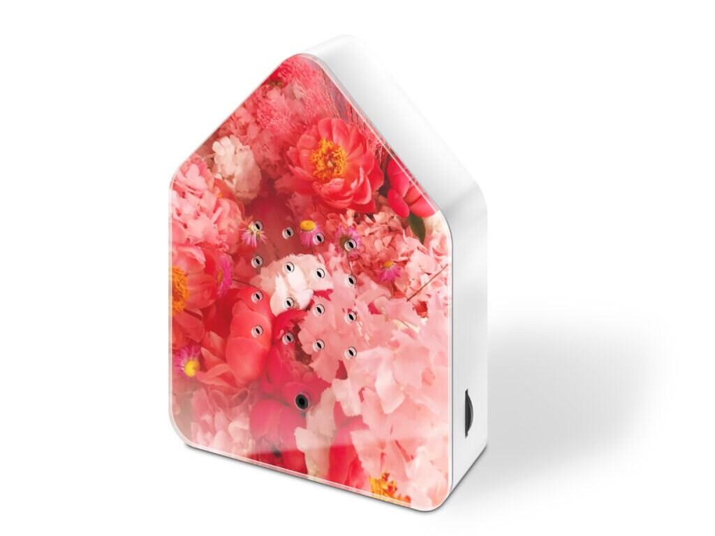 Zwitscherbox - 'Cherry Blossom' Bird song Box